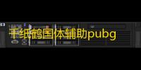 千纸鹤国体辅助pubg